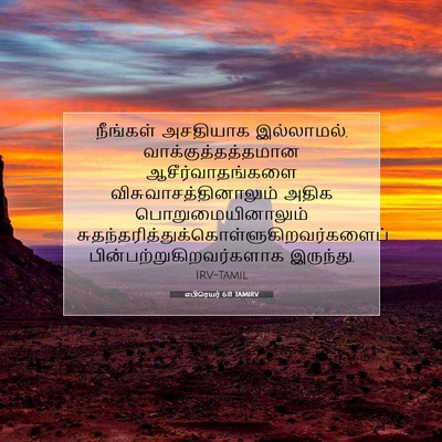 Picture 07 - எபிரெயர் 6:11 TAMIRV - நீங்கள் அசதியாக - Bible Verse Picture
