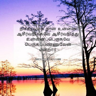 Picture 07 - எபிரெயர் 6:14 TAMIRV - நிச்சயமாக நான் - Bible Verse Picture