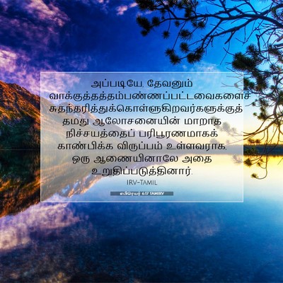 Picture 07 - எபிரெயர் 6:17 TAMIRV - அப்படியே, தேவனும் - Bible Verse Picture