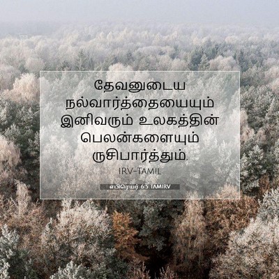 Picture 07 - எபிரெயர் 6:5 TAMIRV - தேவனுடைய - Bible Verse Picture