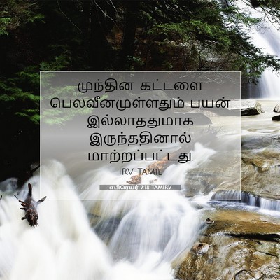 Picture 07 - எபிரெயர் 7:18 TAMIRV - முந்தின கட்டளை - Bible Verse Picture