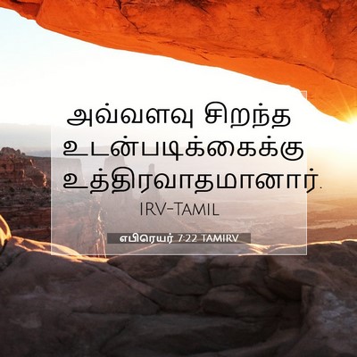 Picture 07 - எபிரெயர் 7:22 TAMIRV - அவ்வளவு சிறந்த - Bible Verse Picture
