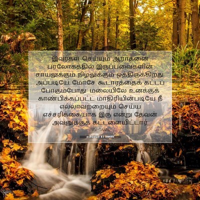Picture 07 - எபிரெயர் 8:5 TAMIRV - இவர்கள் செய்யும் - Bible Verse Picture