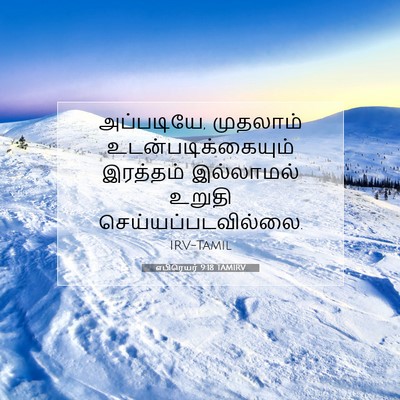 Picture 07 - எபிரெயர் 9:18 TAMIRV - அப்படியே, முதலாம் - Bible Verse Picture