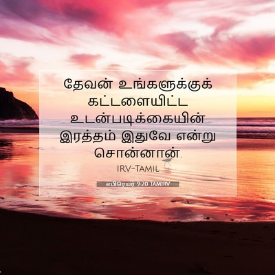 Picture 07 - எபிரெயர் 9:20 TAMIRV - தேவன் - Bible Verse Picture
