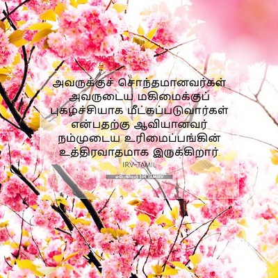 Picture 07 - எபேசியர் 1:14 TAMIRV - அவருக்குச் - Bible Verse Picture