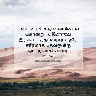 Picture 07 - எபேசியர் 2:16 TAMIRV - பகையைச் - Bible Verse Picture