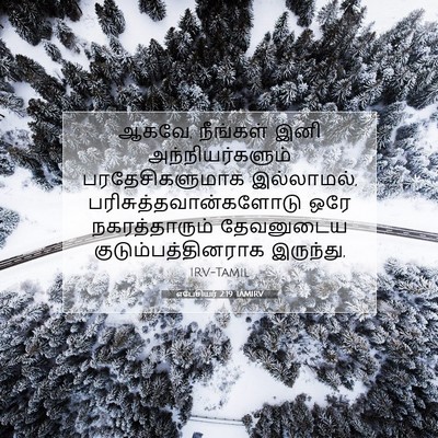 Picture 07 - எபேசியர் 2:19 TAMIRV - ஆகவே, நீங்கள் இனி - Bible Verse Picture