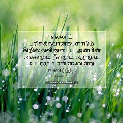 Picture 07 - எபேசியர் 3:18 TAMIRV - எல்லாப் - Bible Verse Picture