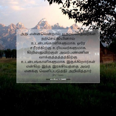 Picture 07 - எபேசியர் 3:3 TAMIRV - அது என்னவென்றால் - Bible Verse Picture