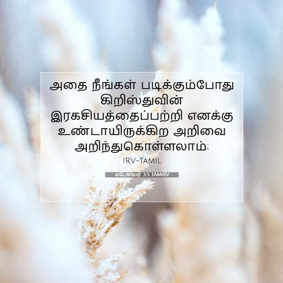 Picture 07 - எபேசியர் 3:5 TAMIRV - அதை நீங்கள் - Bible Verse Picture