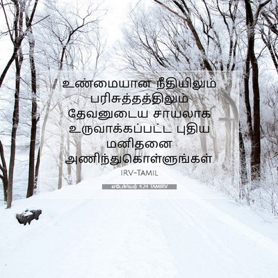 Picture 07 - எபேசியர் 4:24 TAMIRV - உண்மையான - Bible Verse Picture