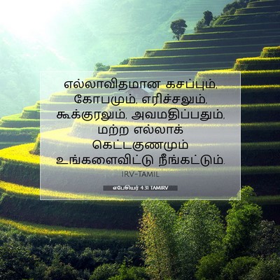 Picture 07 - எபேசியர் 4:31 TAMIRV - எல்லாவிதமான - Bible Verse Picture