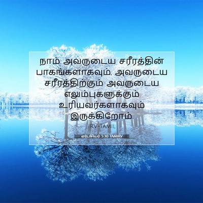 Picture 07 - எபேசியர் 5:30 TAMIRV - நாம் அவருடைய - Bible Verse Picture