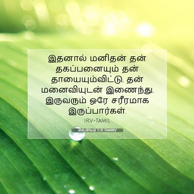 Picture 07 - எபேசியர் 5:31 TAMIRV - இதனால் மனிதன் தன் - Bible Verse Picture
