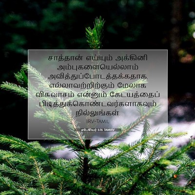 Picture 07 - எபேசியர் 6:16 TAMIRV - சாத்தான் எய்யும் - Bible Verse Picture