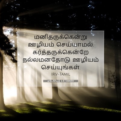 Picture 07 - எபேசியர் 6:8 TAMIRV - மனிதருக்கென்று - Bible Verse Picture