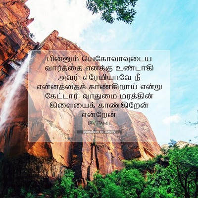 Picture 07 - எரேமியா 1:11 TAMIRV - பின்னும் - Bible Verse Picture