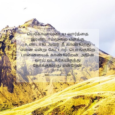 Picture 07 - எரேமியா 1:13 TAMIRV - யெகோவாவுடைய - Bible Verse Picture