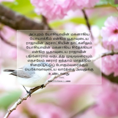 Picture 07 - எரேமியா 1:3 TAMIRV - அப்புறம் - Bible Verse Picture