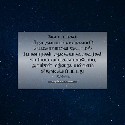 Picture 07 - எரேமியா 10:21 TAMIRV - மேய்ப்பர்கள் - Bible Verse Picture