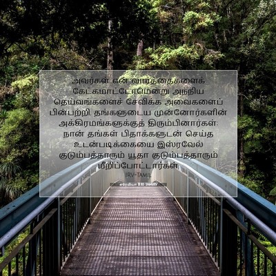 Picture 07 - எரேமியா 11:10 TAMIRV - அவர்கள் என் - Bible Verse Picture