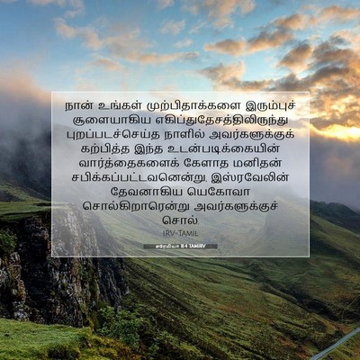 Picture 07 - எரேமியா 11:4 TAMIRV - நான் உங்கள் - Bible Verse Picture