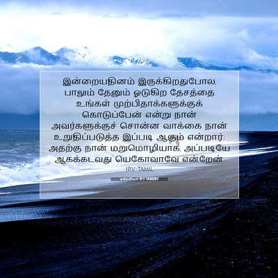 Picture 07 - எரேமியா 11:5 TAMIRV - இன்றையதினம் - Bible Verse Picture