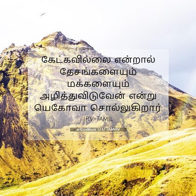 Picture 07 - எரேமியா 12:17 TAMIRV - கேட்கவில்லை - Bible Verse Picture