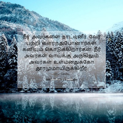 Picture 07 - எரேமியா 12:2 TAMIRV - நீர் அவர்களை - Bible Verse Picture