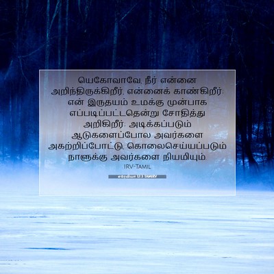 Picture 07 - எரேமியா 12:3 TAMIRV - யெகோவாவே, நீர் - Bible Verse Picture
