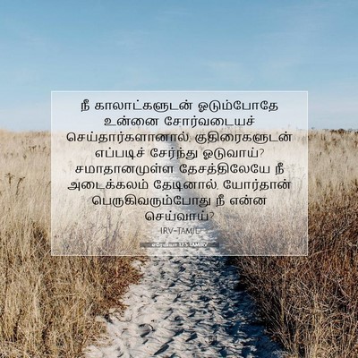 Picture 07 - எரேமியா 12:5 TAMIRV - நீ காலாட்களுடன் - Bible Verse Picture