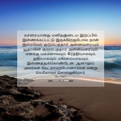 Picture 07 - எரேமியா 13:11 TAMIRV - கச்சையானது - Bible Verse Picture