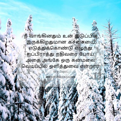 Picture 07 - எரேமியா 13:4 TAMIRV - நீ வாங்கினதும் - Bible Verse Picture