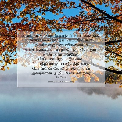 Picture 07 - எரேமியா 14:12 TAMIRV - அவர்கள் - Bible Verse Picture