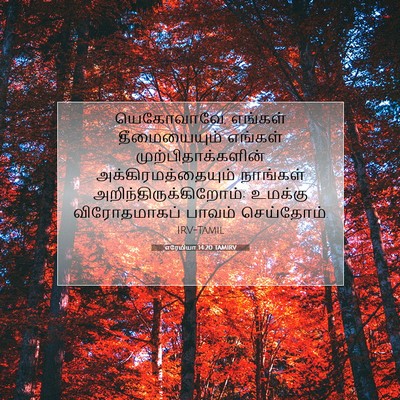 Picture 07 - எரேமியா 14:20 TAMIRV - யெகோவாவே, எங்கள் - Bible Verse Picture