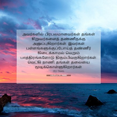 Picture 07 - எரேமியா 14:3 TAMIRV - அவர்களில் - Bible Verse Picture