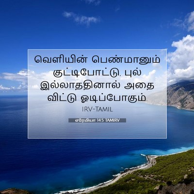 Picture 07 - எரேமியா 14:5 TAMIRV - வெளியின் - Bible Verse Picture