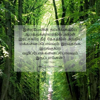 Picture 07 - எரேமியா 14:8 TAMIRV - இஸ்ரவேலின் - Bible Verse Picture