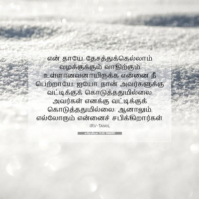 Picture 07 - எரேமியா 15:10 TAMIRV - என் தாயே, - Bible Verse Picture