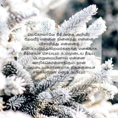Picture 07 - எரேமியா 15:15 TAMIRV - யெகோவாவே, நீர் அதை - Bible Verse Picture