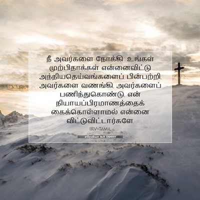 Picture 07 - எரேமியா 16:11 TAMIRV - நீ அவர்களை நோக்கி: - Bible Verse Picture