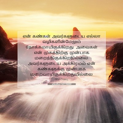 Picture 07 - எரேமியா 16:17 TAMIRV - என் கண்கள் - Bible Verse Picture