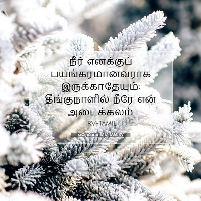 Picture 07 - எரேமியா 17:17 TAMIRV - நீர் எனக்குப் - Bible Verse Picture