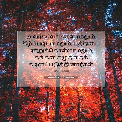 Picture 07 - எரேமியா 17:23 TAMIRV - அவர்களோ - Bible Verse Picture