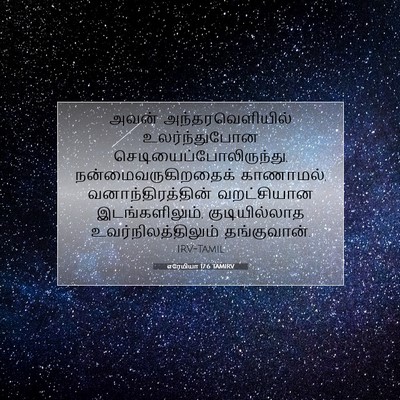 Picture 07 - எரேமியா 17:6 TAMIRV - அவன் - Bible Verse Picture