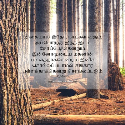 Picture 07 - எரேமியா 19:6 TAMIRV - ஆகையால், இதோ, - Bible Verse Picture