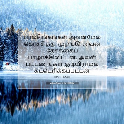 Picture 07 - எரேமியா 2:15 TAMIRV - பாலசிங்கங்கள் - Bible Verse Picture