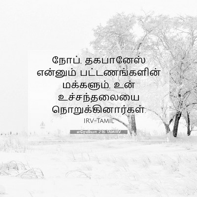 Picture 07 - எரேமியா 2:16 TAMIRV - நோப், தகபானேஸ் - Bible Verse Picture