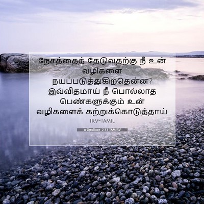 Picture 07 - எரேமியா 2:33 TAMIRV - நேசத்தைத் - Bible Verse Picture